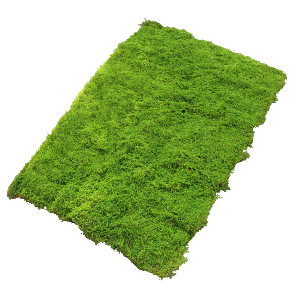 Faux Moss Turf Mat Artificial  - огляд і ціна Preserved Moss Sheet