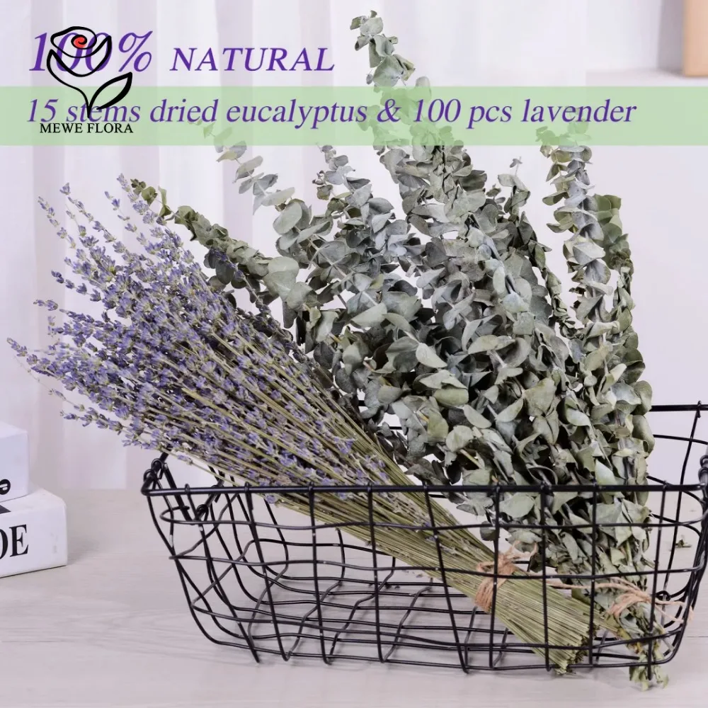 30Pcs Dried Flowers Preserved  - огляд і ціна Eucalyptus Preserved